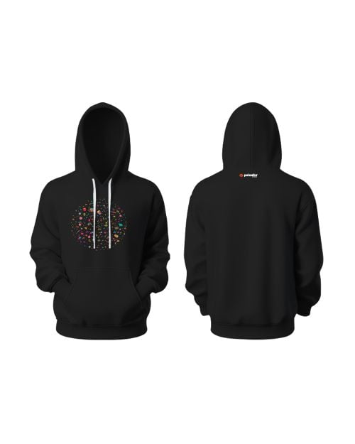Greys&Blues Pichkari Goodie Hoodie Plain - Black